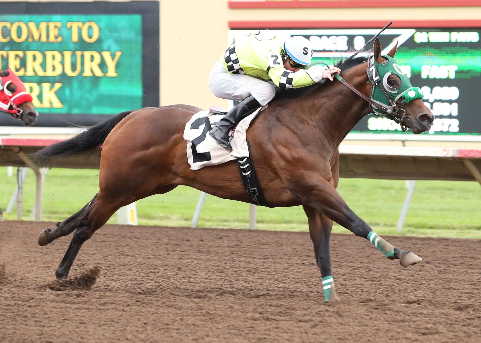 Western Fun - The Bob Morehouse Stakes - 07-27-13 - R09 - CBY - Finish