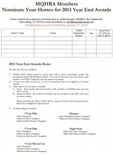 2013 Year End Award Nomination Form
