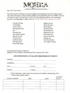 2015 MSBF Nomination Form