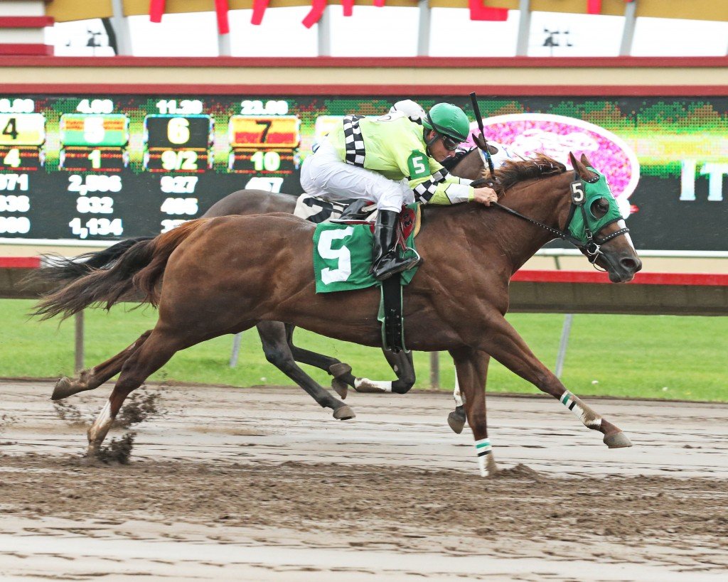 Dirt Road Queen - Bob Morehouse Stakes - 07-12-14 - R02 - CBY - Finish