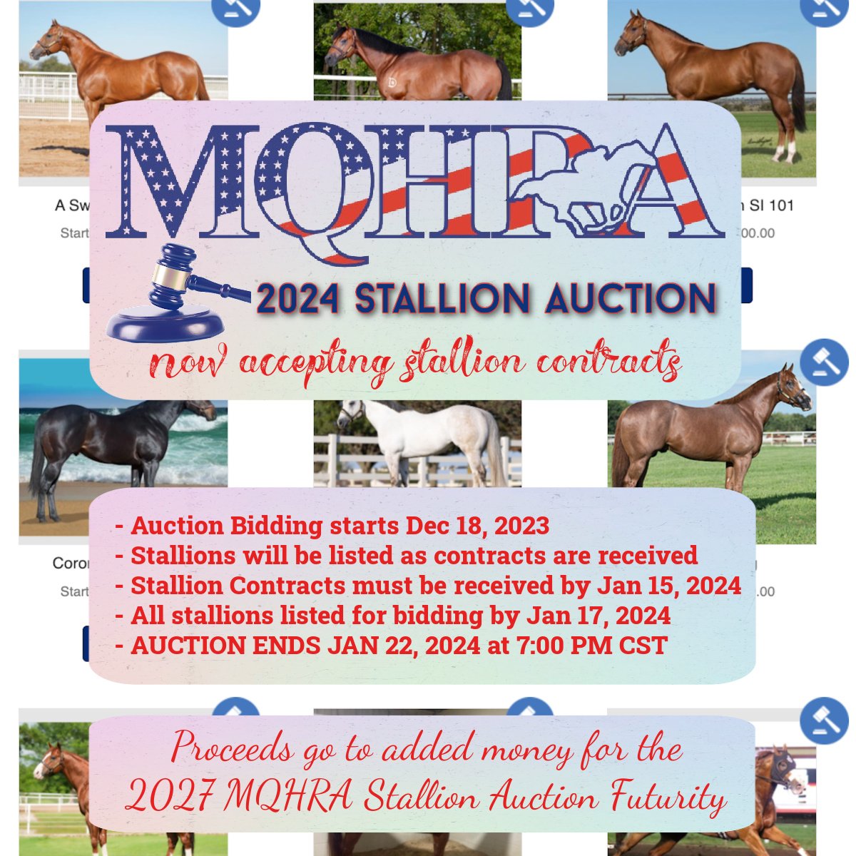 2024 Now Accepting Stallion Donations - FB Post (2)