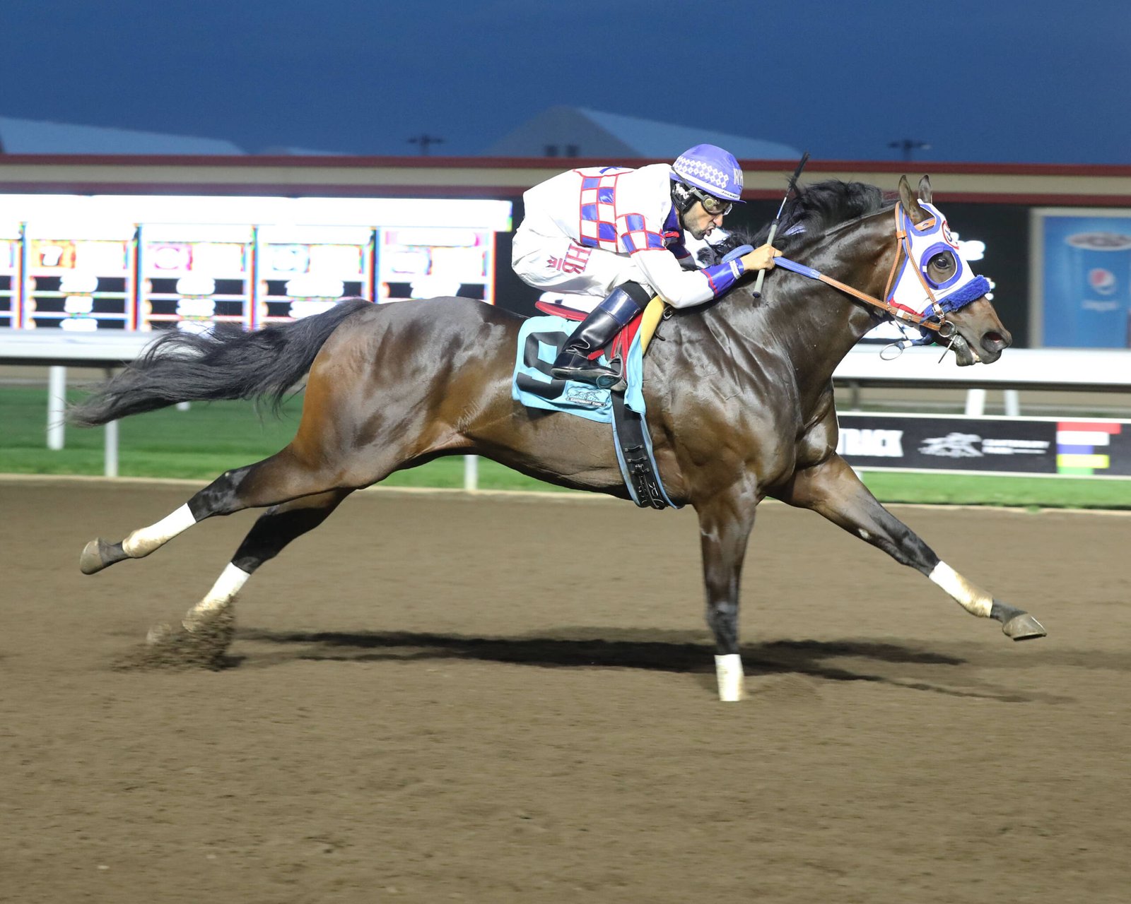 RELENTLESS ROCKET - Northlands Futurity - 08-15-24 - R07 - Canterbury Park - Photo Credit:  Coady Photography