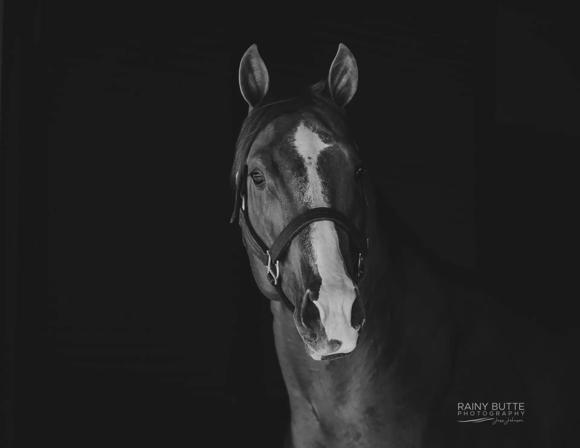 A Sweet Jess SI 90 - Image 7