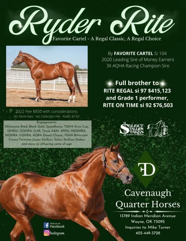 Ryder Rite - Image 2
