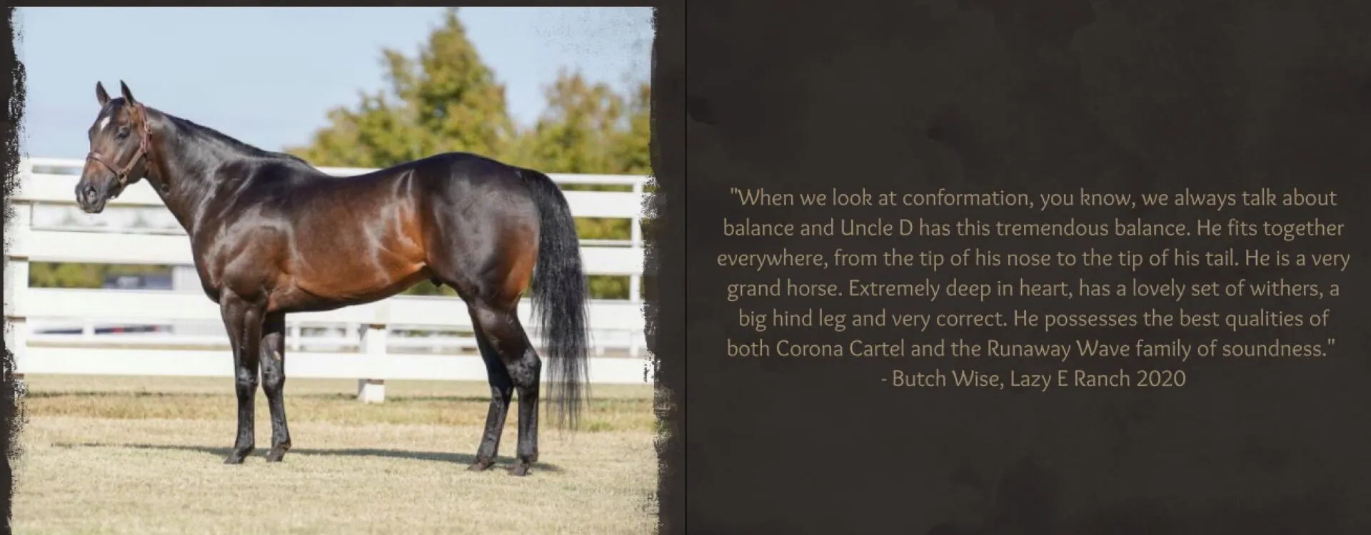 Uncle D SI 96 - Image 7