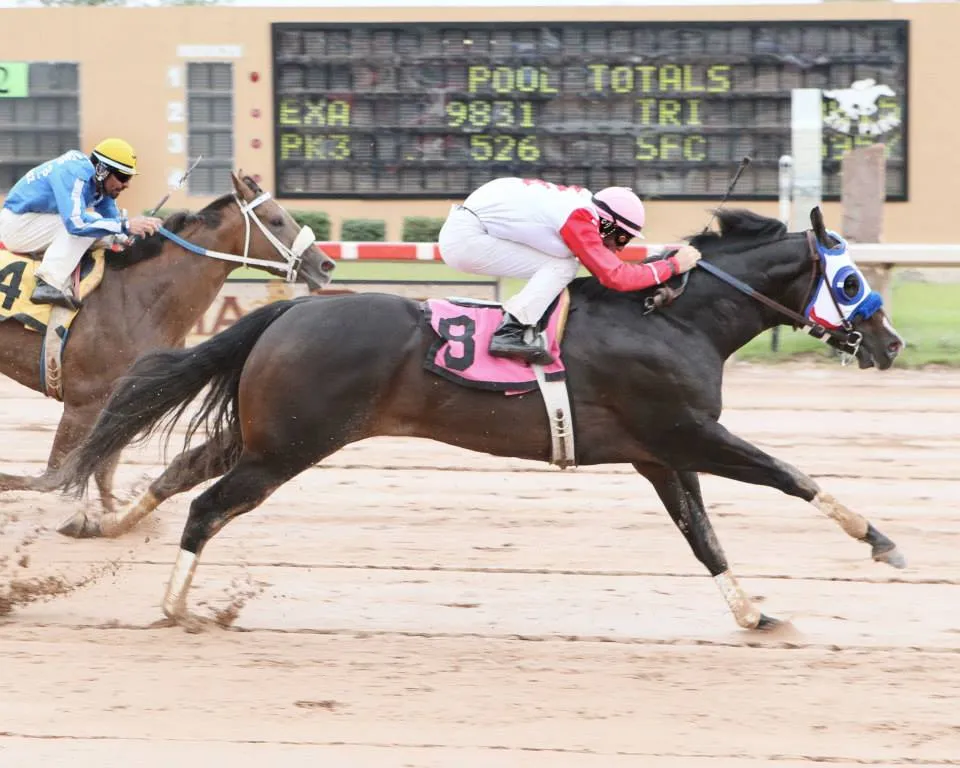 Hes Relentless SI 108 - Image 5