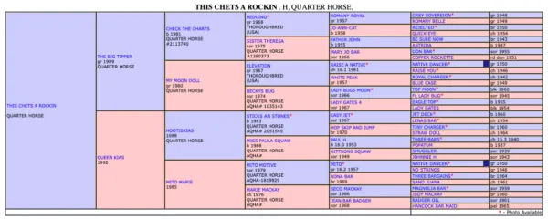 This Chets a Rockin - Image 5