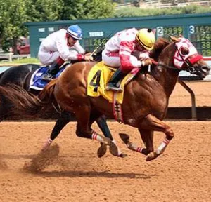 KJ Mucho Macho Man