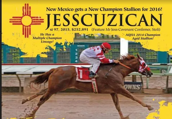 Jesscuzican SI 97 - Image 4