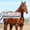 Jesscuzican SI 97 - Image 3