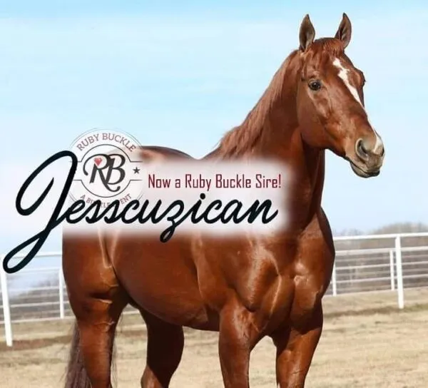 Jesscuzican SI 97 - Image 3