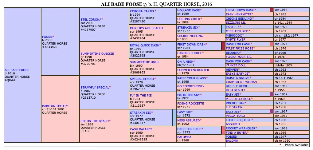 Ali Babe Foose SI 96 - Image 5