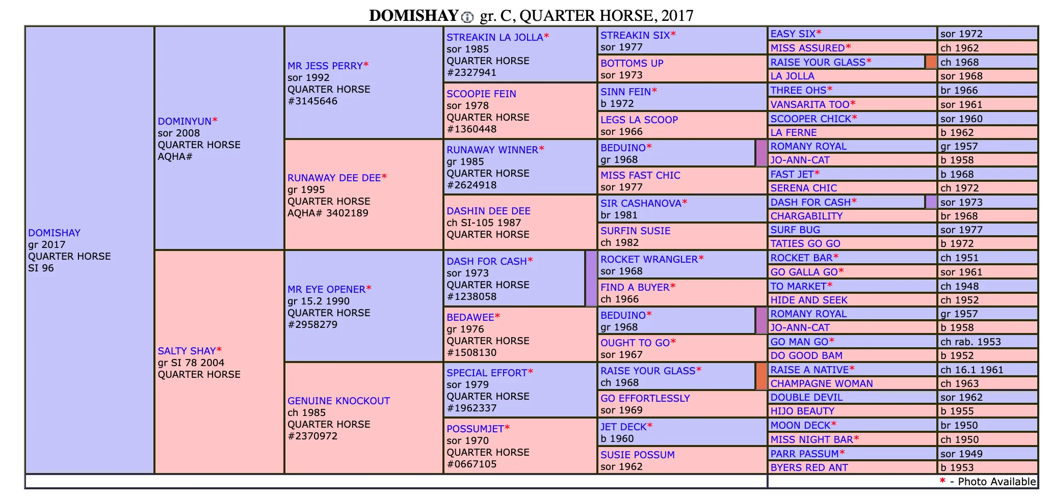 Domishay SI 96 - Image 4