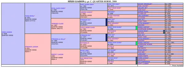 Sixes Liaison SI 102 - Image 3