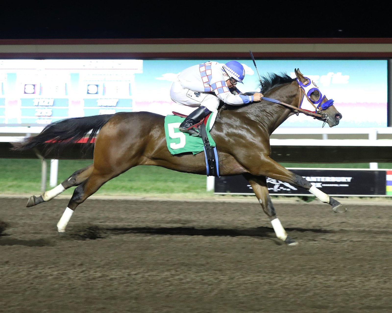 North Star State Futurity 6-7-23 - Photo Credit Coady Photography