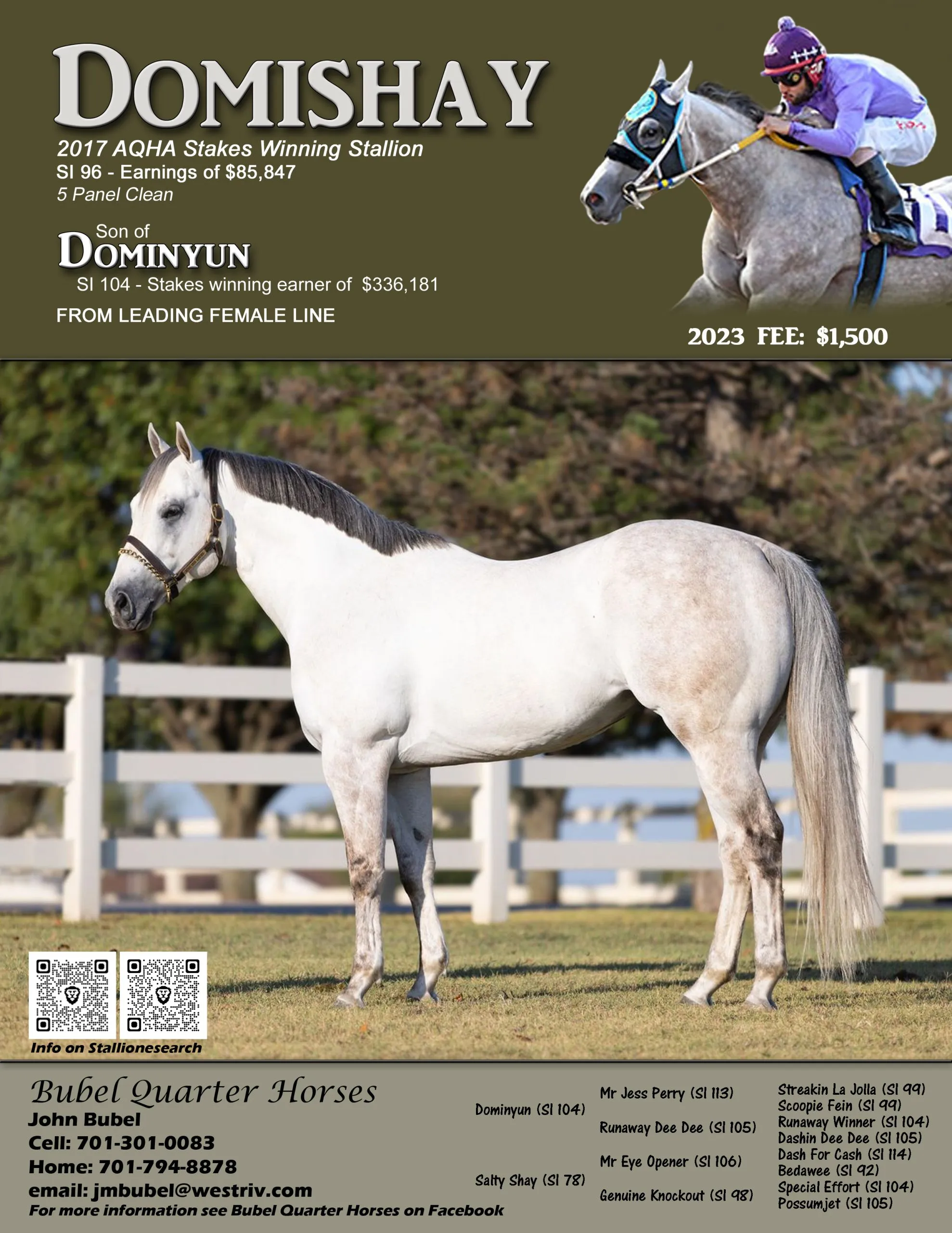 Domishay SI 96 - Image 2