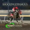 ShockinglyFamous SI 113 - Image 2
