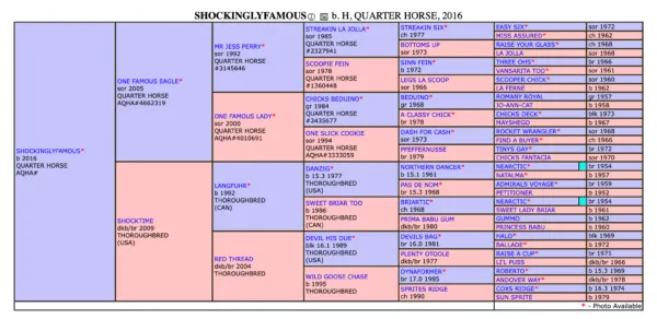ShockinglyFamous SI 113 - Image 4