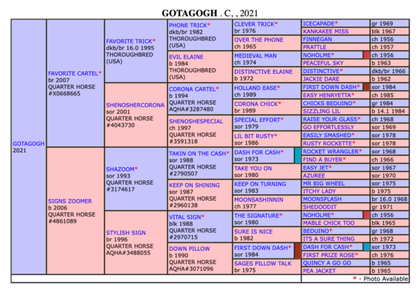 Gotagogh SI 106 - Image 4