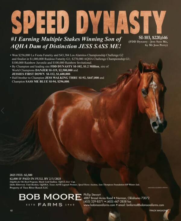 Speed Dynasty SI 103 - Image 2