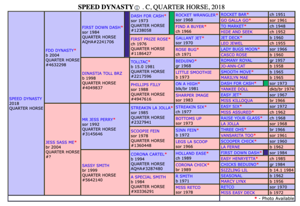 Speed Dynasty SI 103 - Image 3