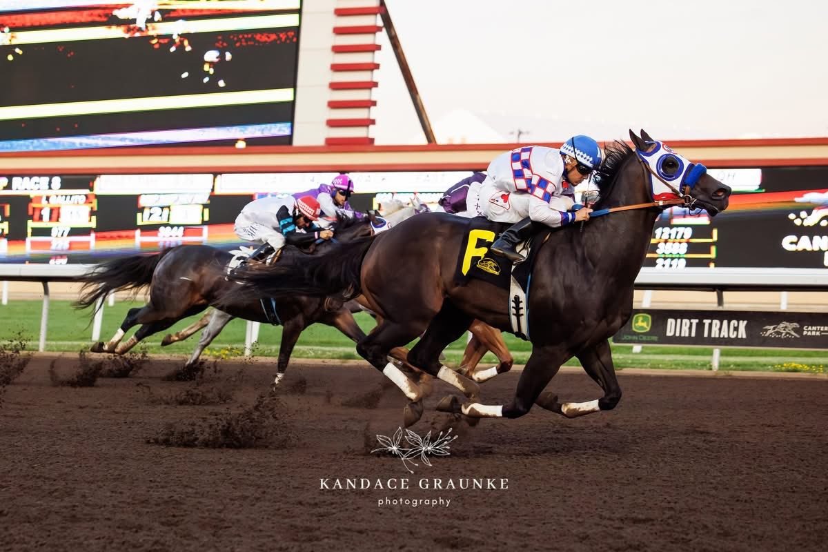 Relentless Legacy - 2025 Bob Morehouse Stakes Winner - Photo by Kandace Graunke Photography