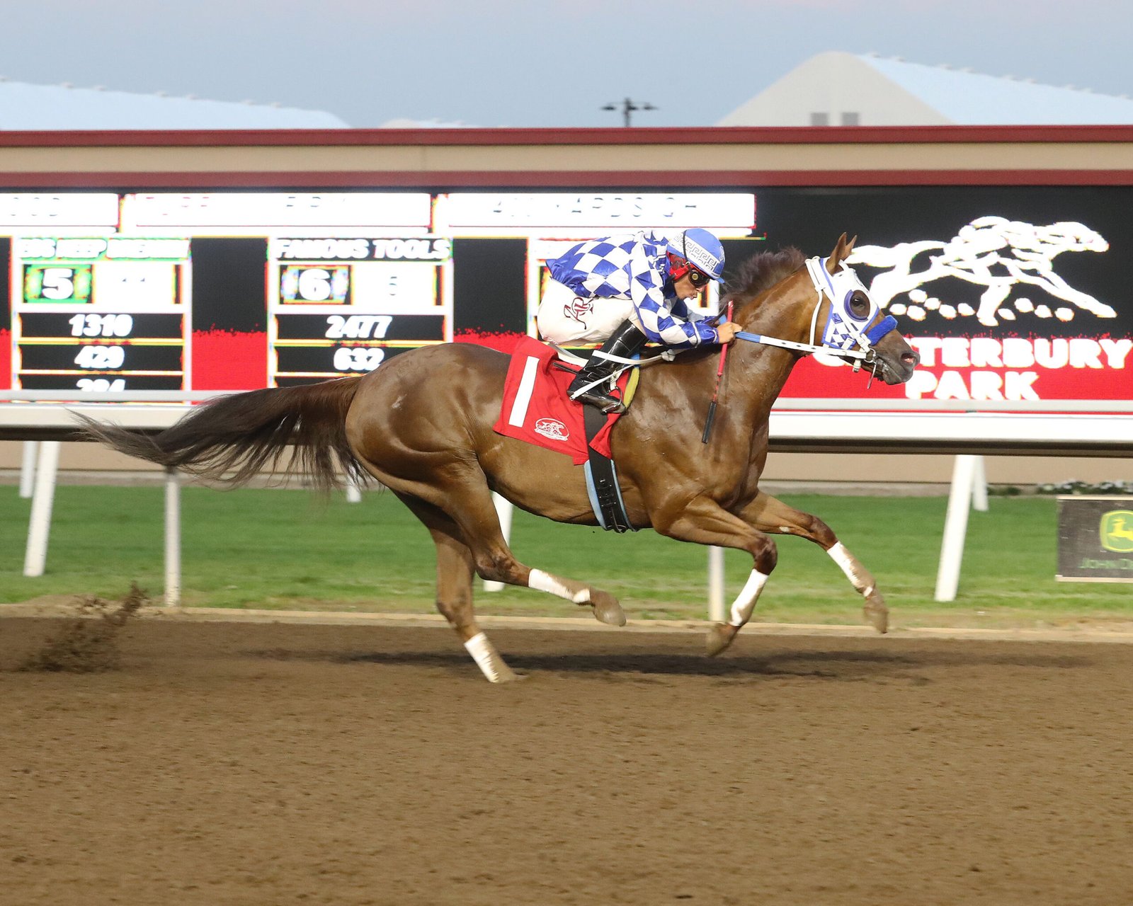 FOXY COWGIRL - Canterbury Park Distaff Challenge (G3) - 07-24-25 - R08 - Canterbury Park - Finish Foxy Cowgirl - 2025 Cby Park Distaff Challenge Winner - Photo by Coady Media