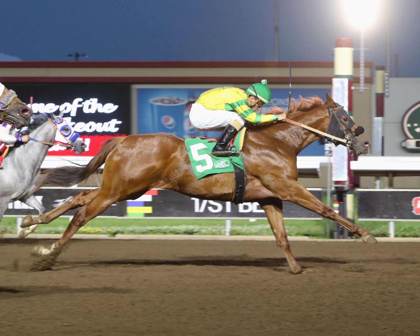 HOLY DYNASTY - North Star State Futurity - 06-11-25 - R09 - Canterbury Park - Finish Holy Dynasty - 2025 North Star State Futurity - Photo by Coady Media