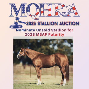 2025 Auction/2028 Futurity Stallion Nomination