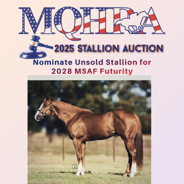 2025 Auction/2028 Futurity Stallion Nomination