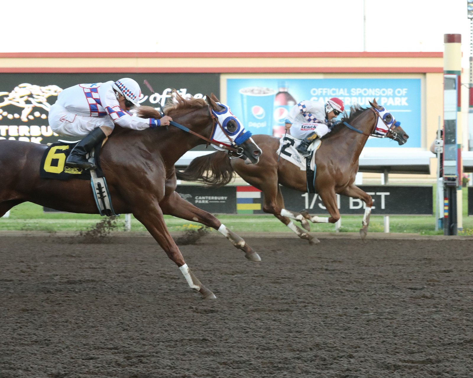 Ur Favorite Tio - 2025 MQHRA Stallion Auction Futurity Winner - Photo by Coady Media
