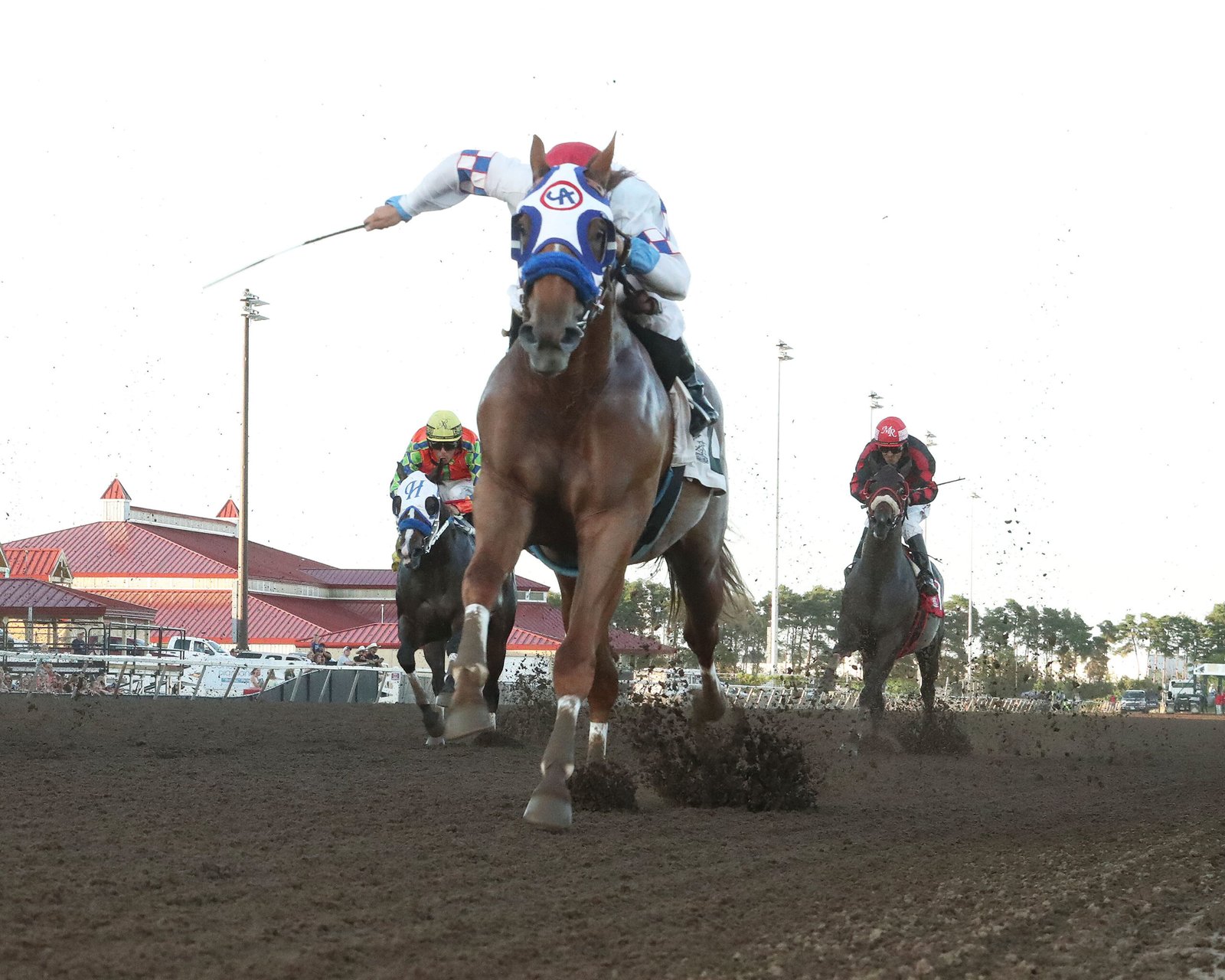 UR FAVORITE TIO - MQHRA Stallion Auction Futurity - 07-10-25 - R07 - Canterbury Park - Under Rail UR FAVORITE TIO - MQHRA Stallion Auction Futurity -Photo credit: Coady Media