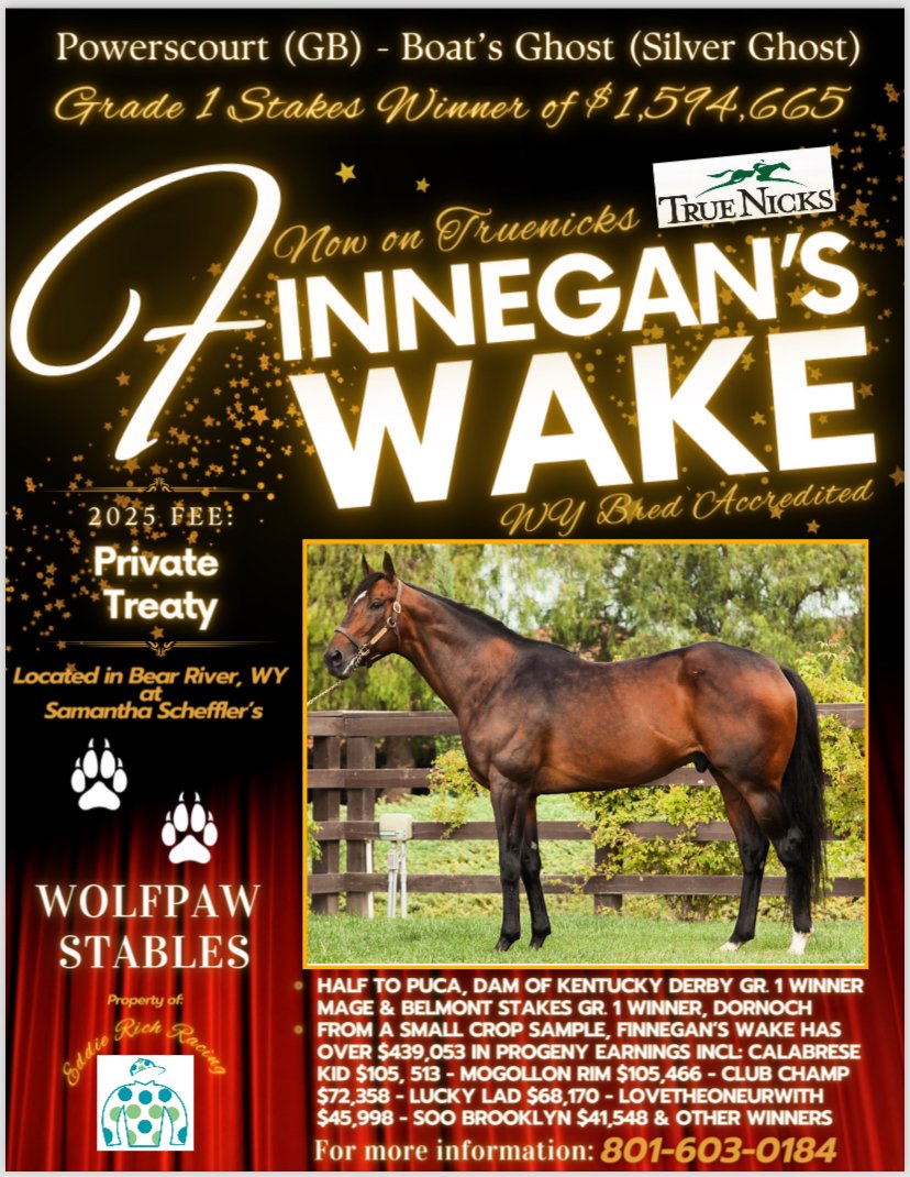 Finnegans Wake TB - Image 2