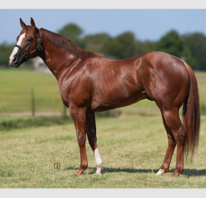 Kiss My Maruska SI 105