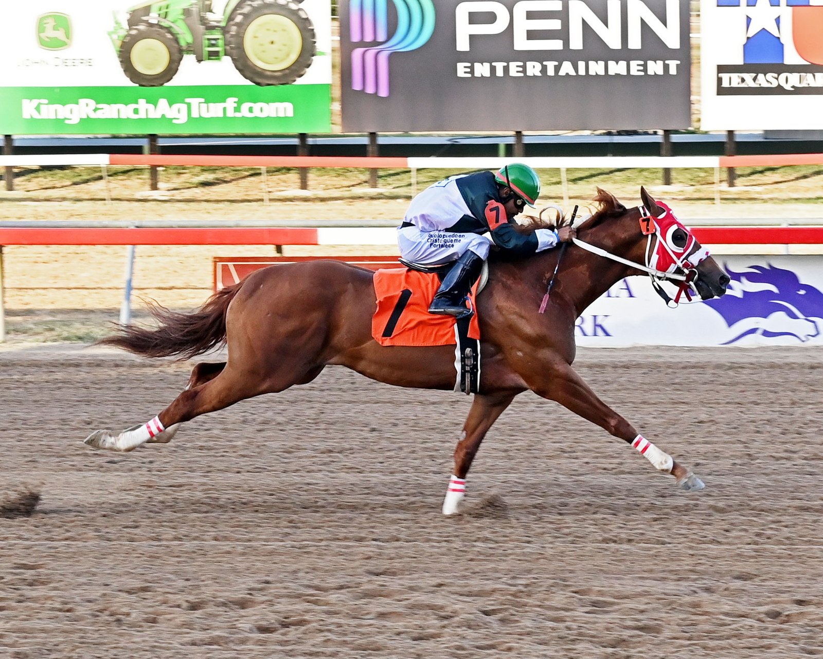 Apicasso Jess SI 112 - Image 4