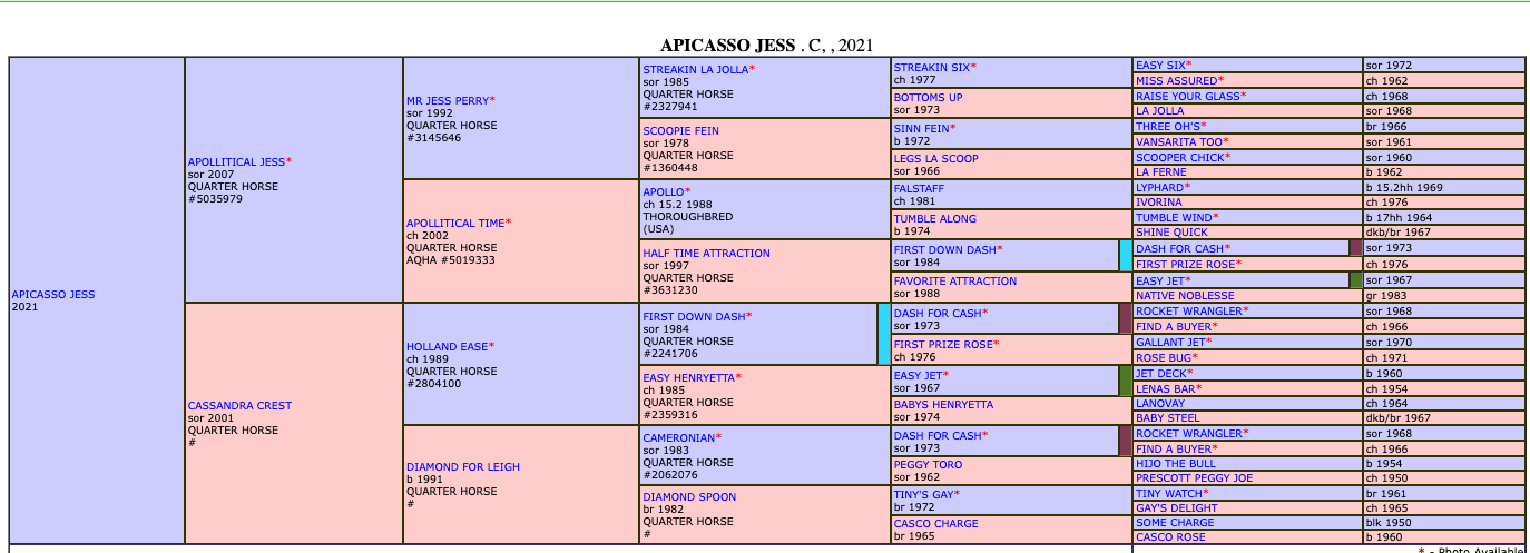 Apicasso Jess SI 112 - Image 3