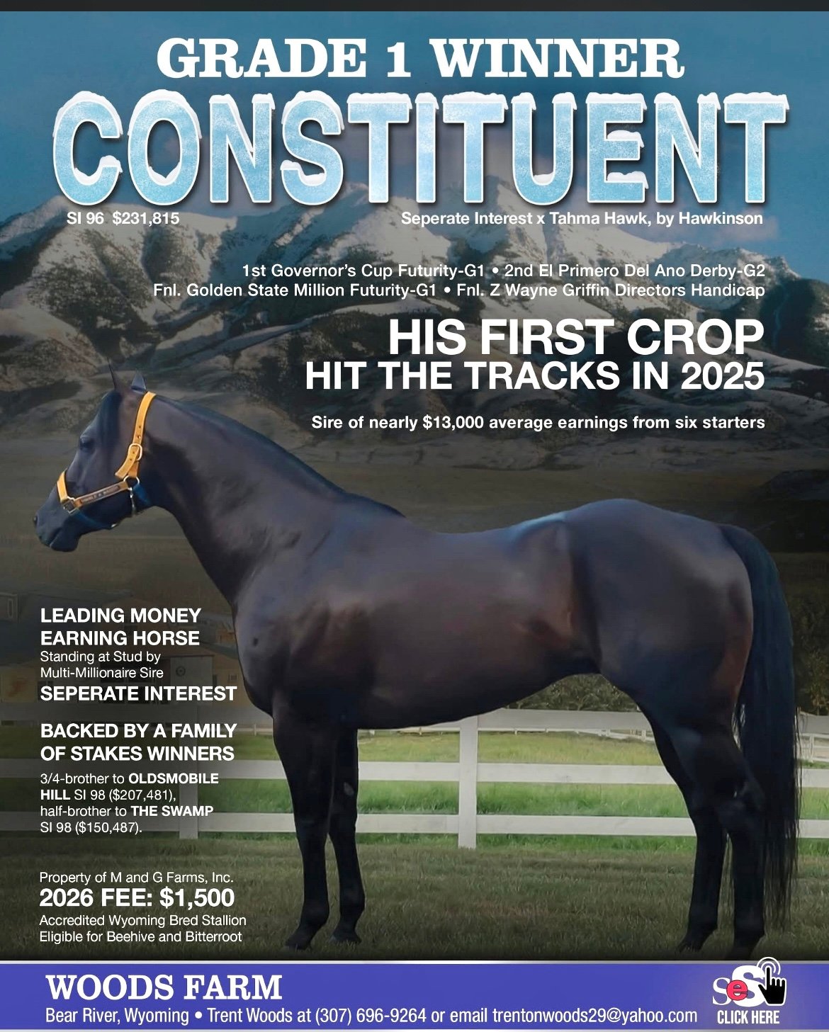 Constituent SI 96 - Image 2