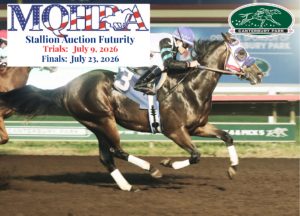 2026 Eligible Stallions