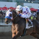 RELENTLESS-ROCKET-Canterbury-Park-Quarter-Horse-Derby-08-21-25-R03-Canterbury-Park-Inside-Finish-150x150