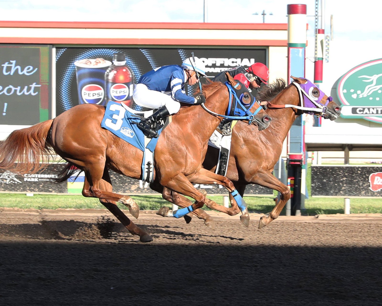 Del Cartel -2026 North Star State Derby Champion - Photo by Coady Media