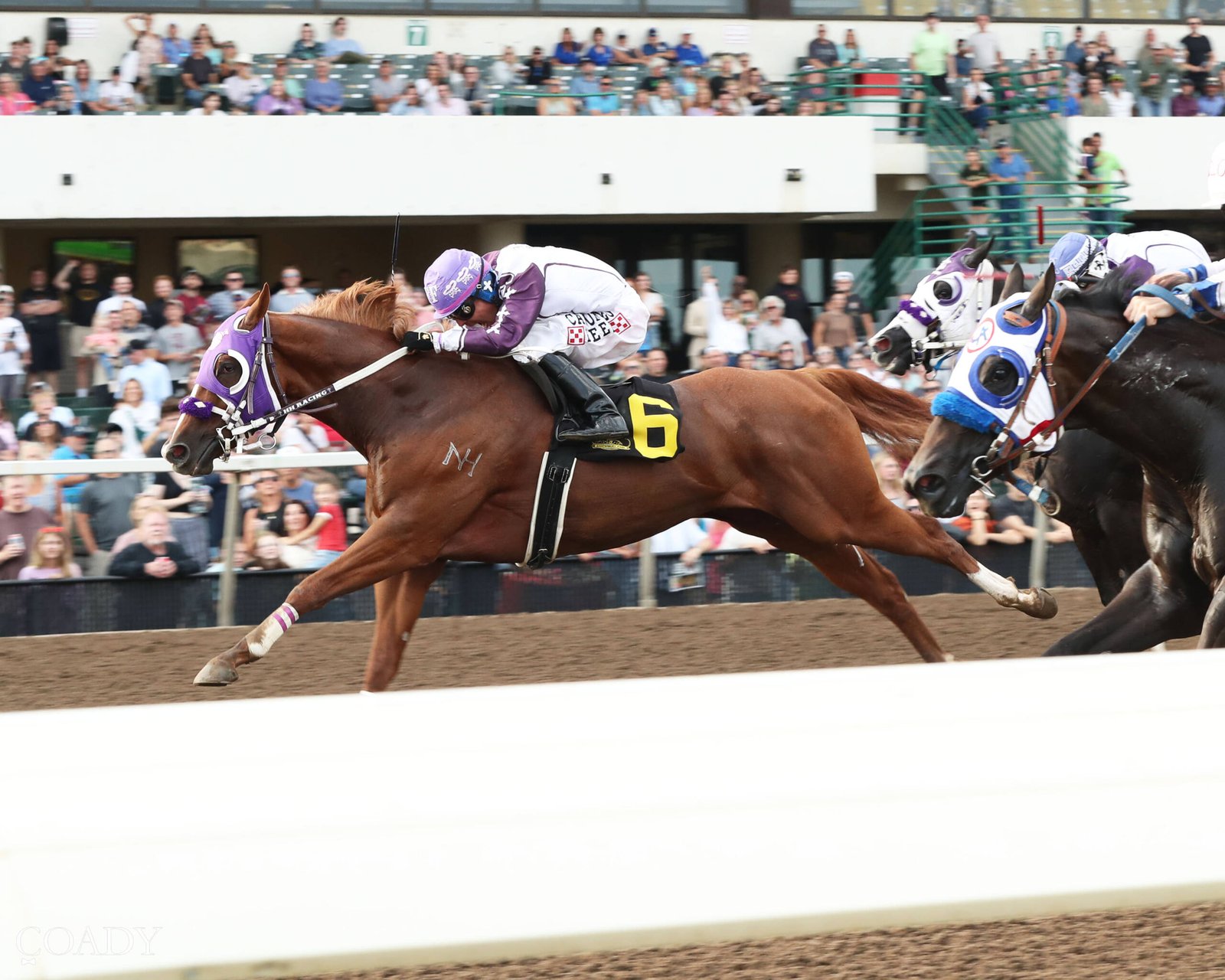 Ding Dang Dulce - 2026 Canterbury Park Derby Champion - Photo by Coady Media