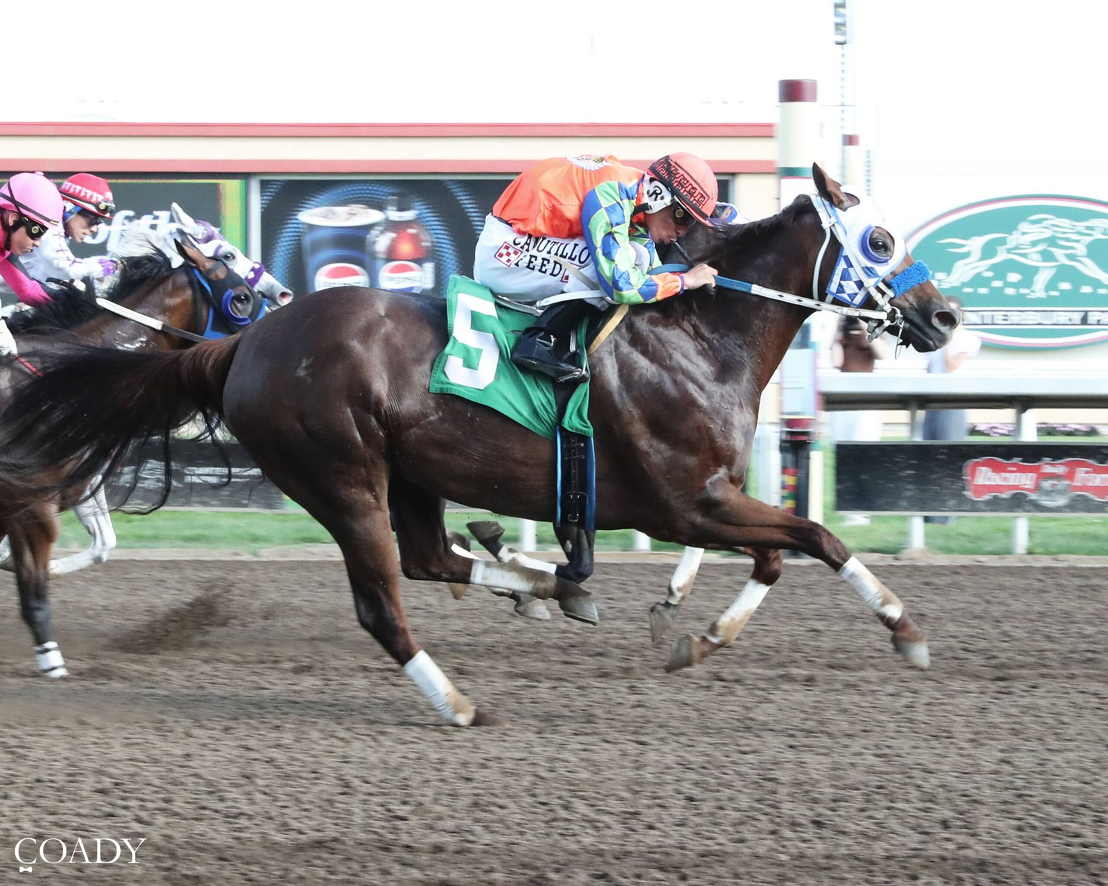Foxy Cowgirl - 2026 Cash Caravan Stakes Champion - Photo by Coady Media