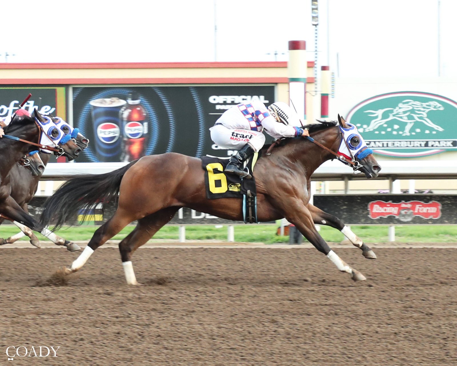 Why So Political - 2026 Northlands Futurity Champion - Photo by Coady Media