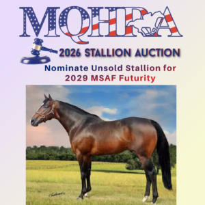 2026 Auction/2029 Futurity Stallion Nomination