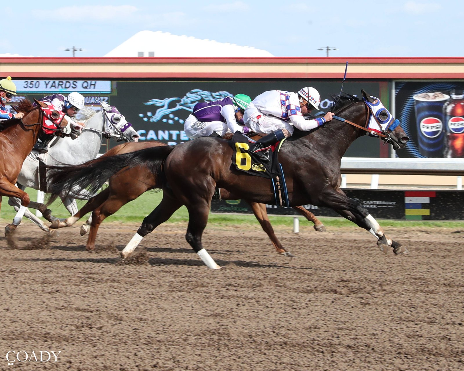 Relentless Legacy - 2026 Bob Morehouse Stakes Champion - Photo by Coady Photography