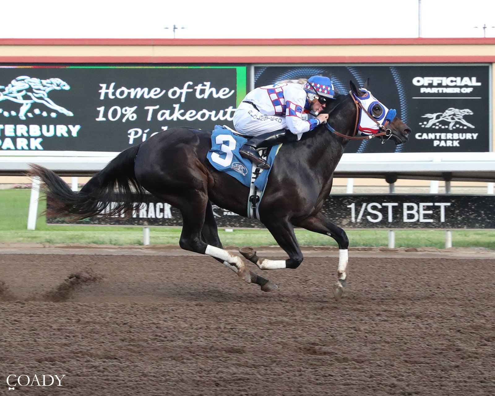 Sheza a Sugar Momma - 2026 North Star State Futurity Champion - Photo by Coady Media