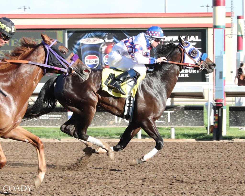Sheza a Sugar Momma - 2026 MN QH Futurity Champion - Photo by Coady Media