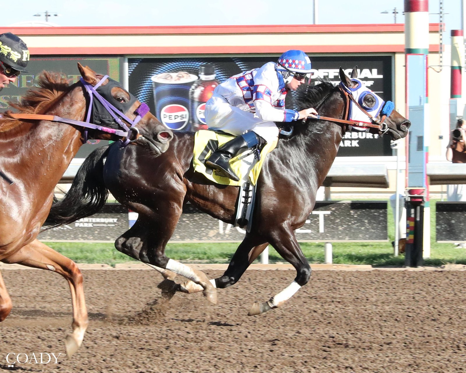 Sheza a Sugar Momma - 2026 MN QH Futurity Champion - Photo by Coady Media