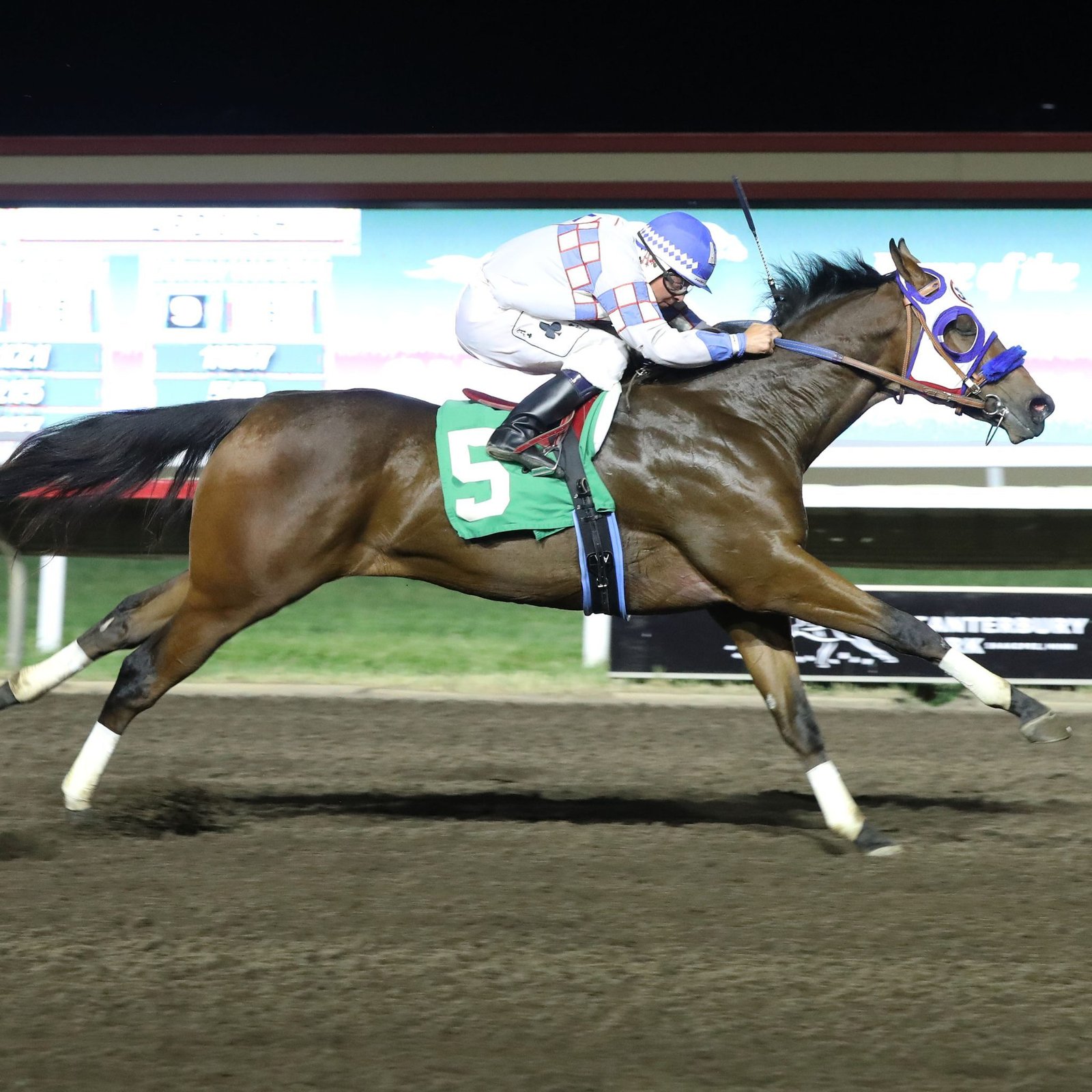 North Star State Futurity 6-7-23 - Photo Credit Coady Photography