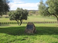 First Down Dash gravesite at Vessel's Stallion Ranch.jpg